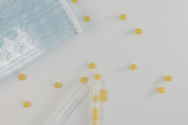 Gérer le stress chez les seniors : l'impact d'une routine quotidienne